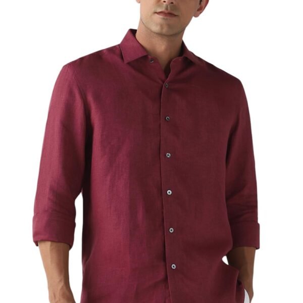 Louis Philippe Men Maroon Textured Full Sleeves Formal Shirt