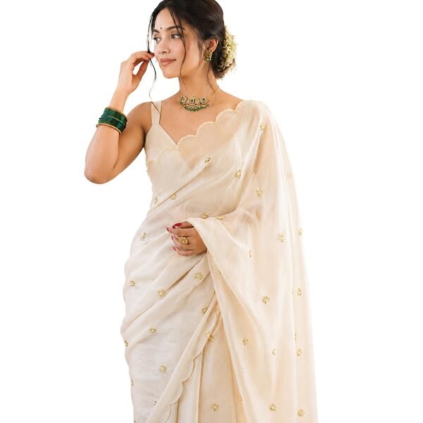 Women's Soft Fandy Satin Embroidered Saree with Sequin Work and Matching Dupion Blouse Piece (Chiku)