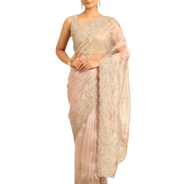 Women's Fawn Organza Embroidered Sequins Saree