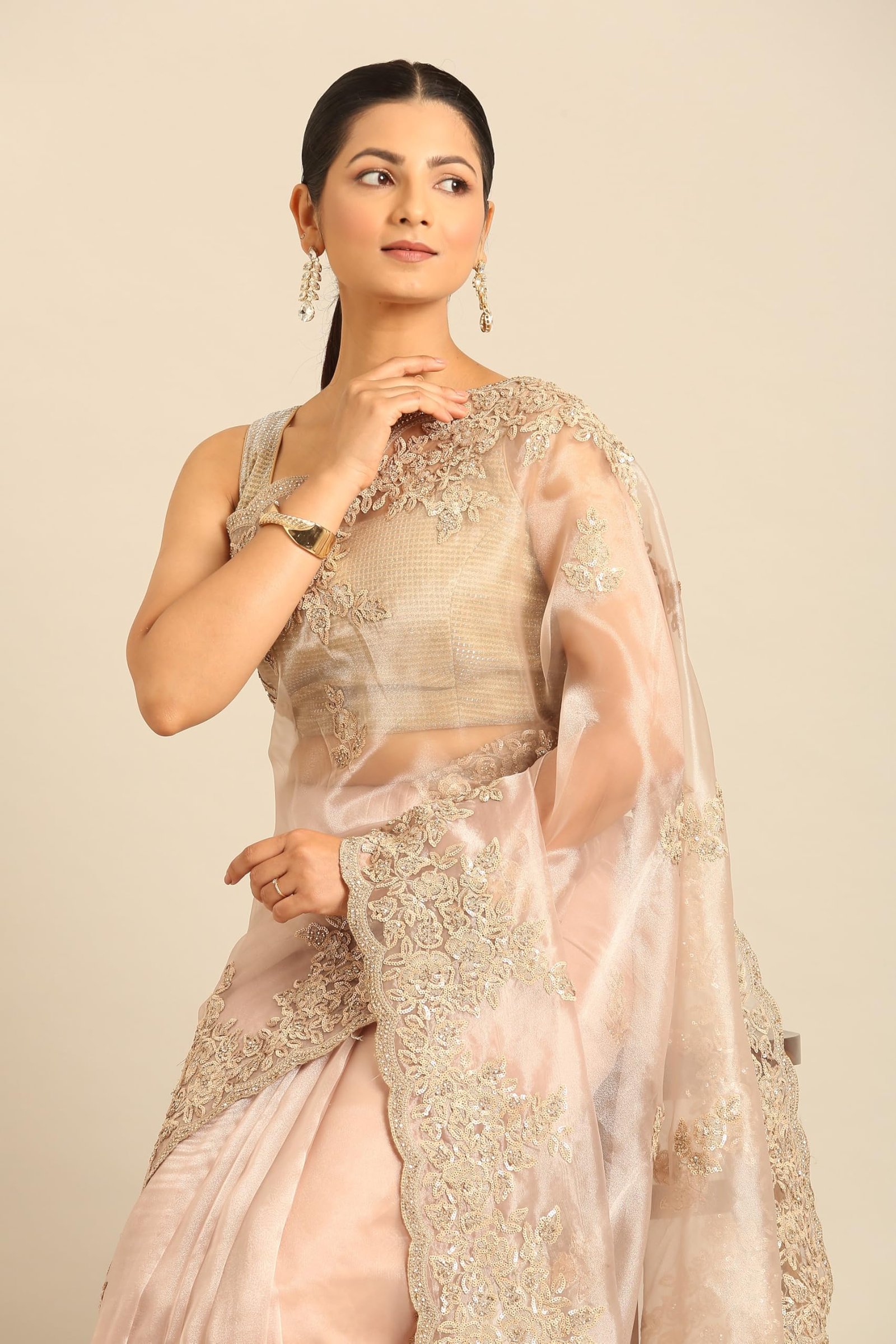 Women’s Fawn Organza Embroidered Sequins Saree